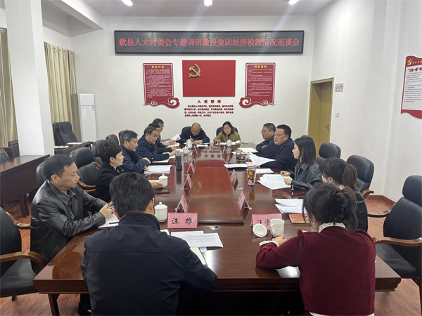 4月7日，縣人大常委會主任梅代軍帶隊專題調(diào)研徽投集團經(jīng)濟稅源情況，集團洪董、葉總、方總參加調(diào)研座談。.jpg