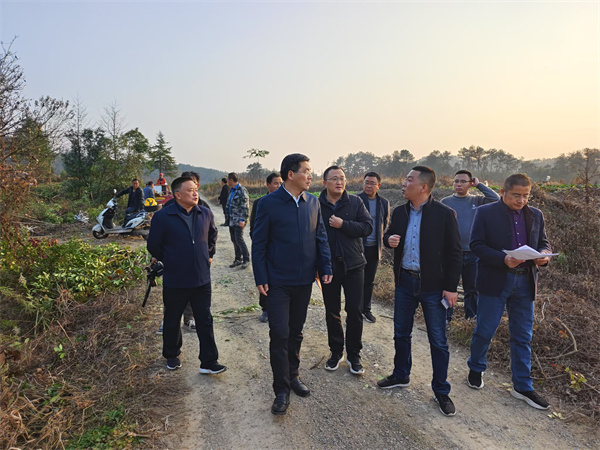12月4日，集團領導陪同王奇勇縣長一行調(diào)研新管苗圃.jpg