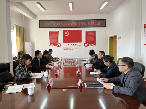 11月24日，黃山市委組織部部長(zhǎng)程峰率隊(duì)調(diào)研黃山徽投集團(tuán)黨建工作，洪董作匯報(bào).jpg