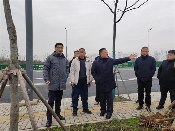 2月14日，洪董陪同王奇勇縣長一行督導衛(wèi)拍地塊.jpg