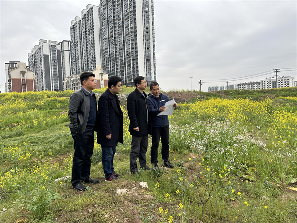 3月29日，張總陪同汪盛縣長調(diào)度揚(yáng)之學(xué)校征地.jpg