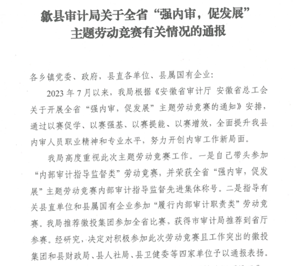 強(qiáng)內(nèi)審、促發(fā)展.png